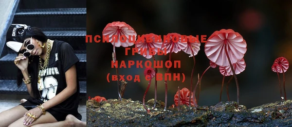 2c-b Зеленодольск