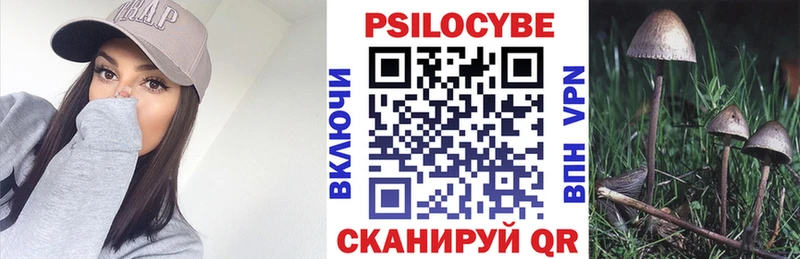 Купить закладки  Углегорск  Псилоцибиновые грибы мухоморы 